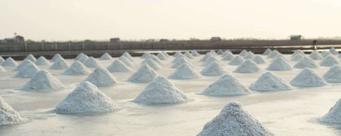 salt field